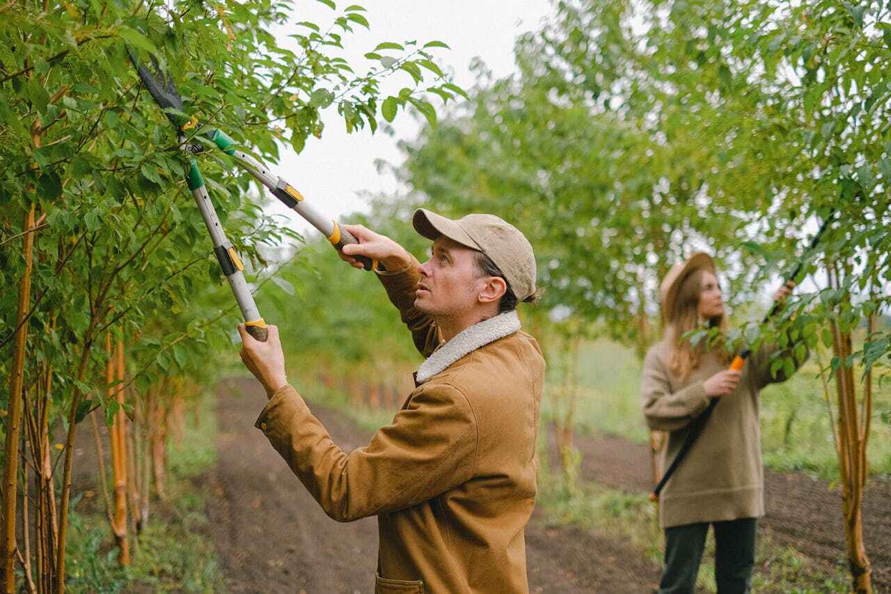 Best Commercial Tree Services  in Laingsburg, MI